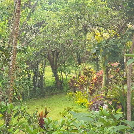 Eco Hotel Manu Viajeros San Agustín Eksteriør billede