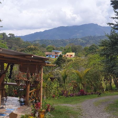 Eco Hotel Manu Viajeros San Agustín Eksteriør billede