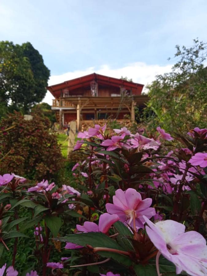 Eco Hotel Manu Viajeros San Agustín Eksteriør billede