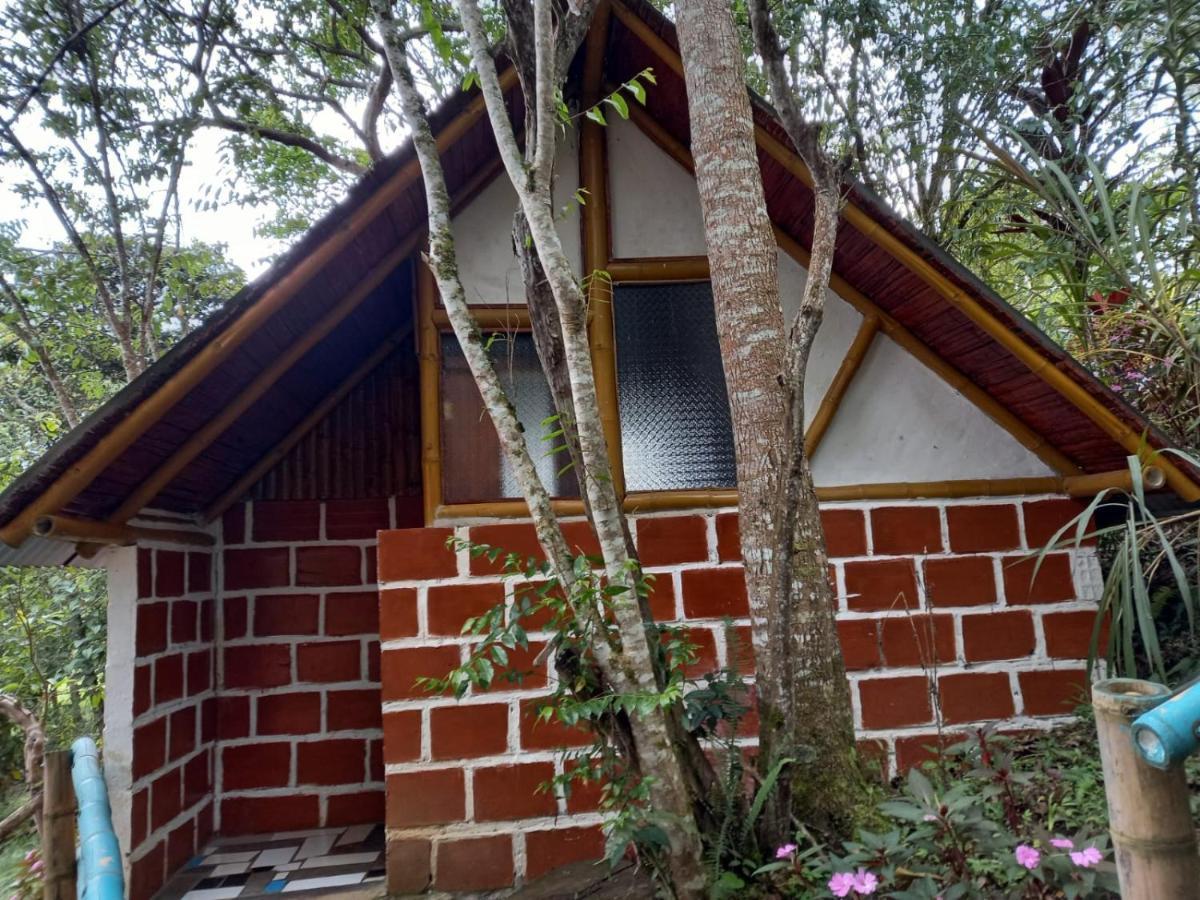 Eco Hotel Manu Viajeros San Agustín Eksteriør billede