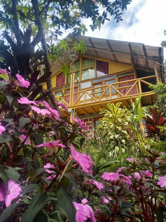 Eco Hotel Manu Viajeros San Agustín Eksteriør billede