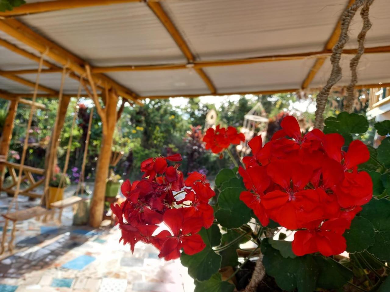 Eco Hotel Manu Viajeros San Agustín Eksteriør billede
