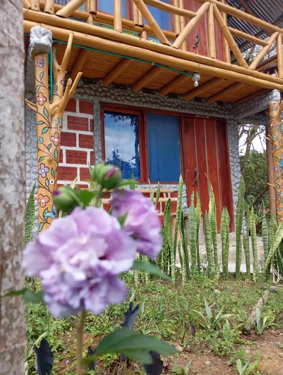 Eco Hotel Manu Viajeros San Agustín Eksteriør billede