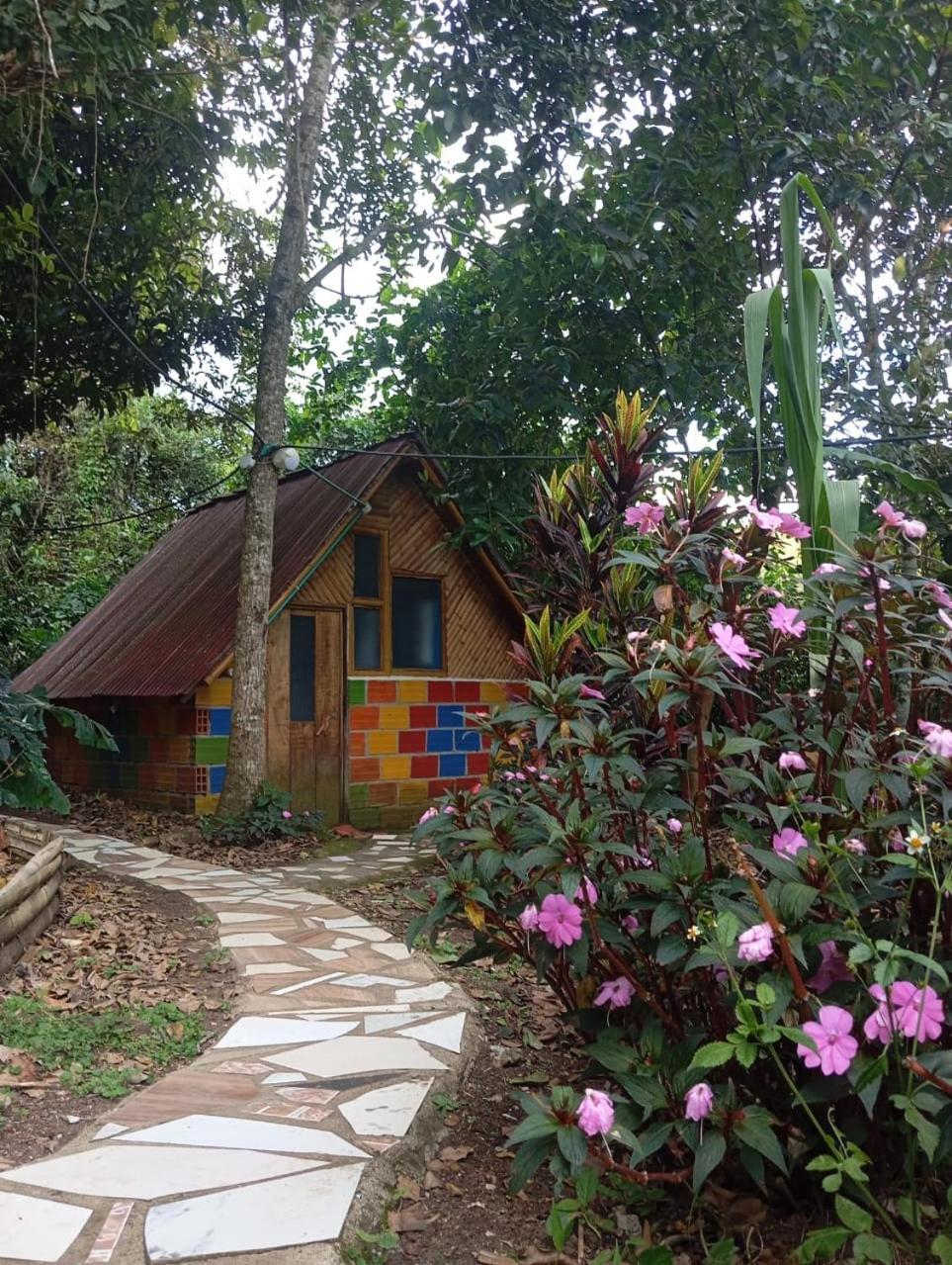 Eco Hotel Manu Viajeros San Agustín Eksteriør billede