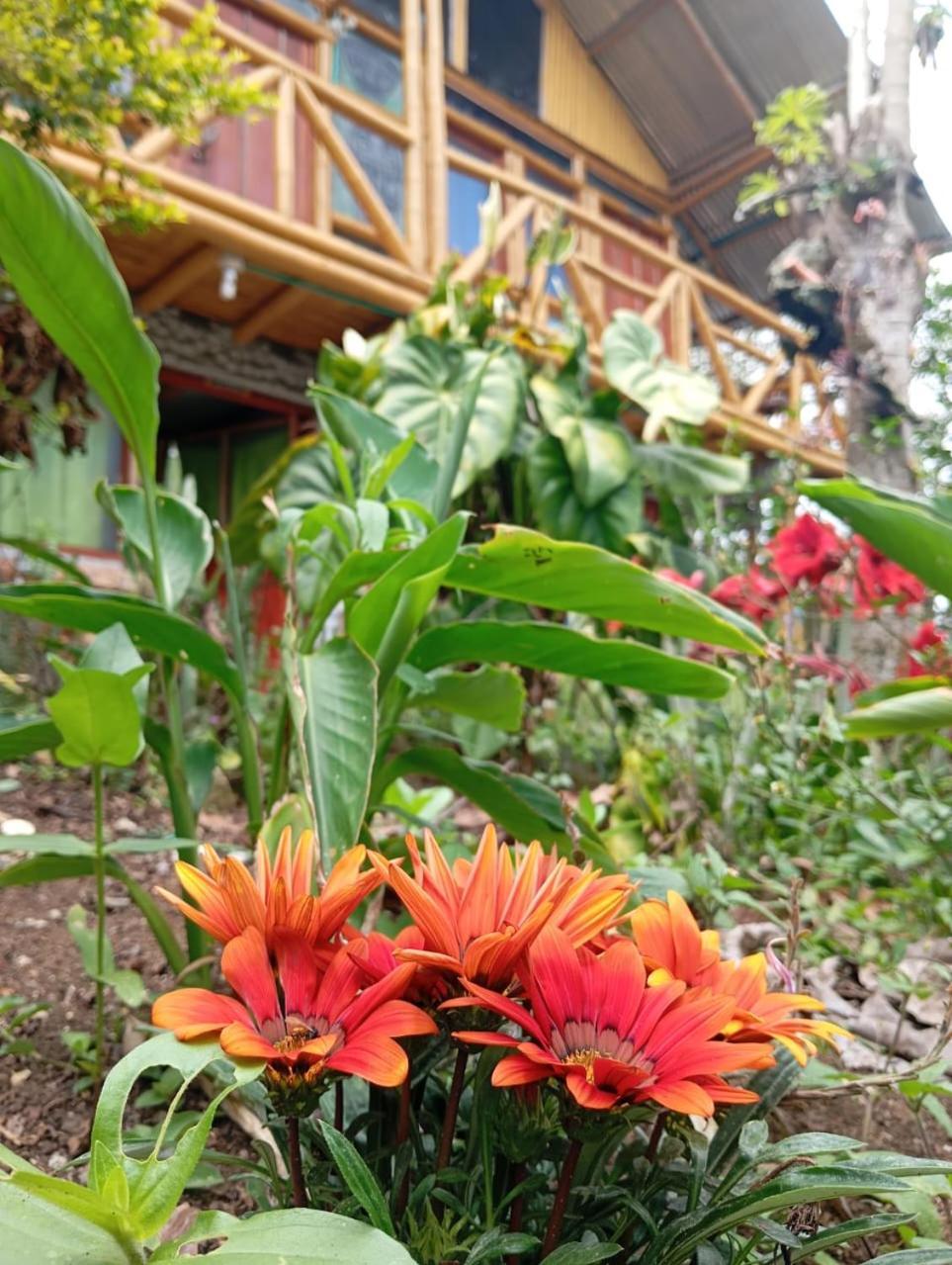 Eco Hotel Manu Viajeros San Agustín Eksteriør billede